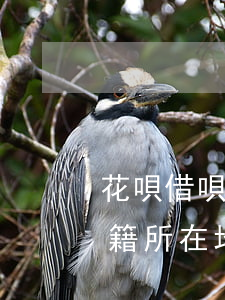 花唄借唄逾期信息發(fā)到戶(hù)籍所在地-花唄借唄逾期信息發(fā)到戶(hù)籍所在地是真的嗎