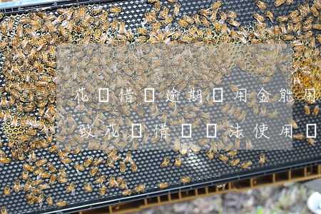 花唄借唄逾期備用金能用嗎(備用金逾期會導致花唄借唄無法使用嗎)