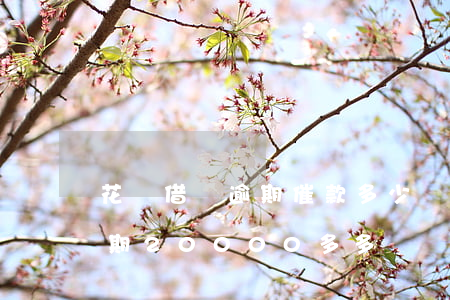 花唄借唄逾期催款多少錢起訴-花唄借唄逾期20000多多長時間起訴