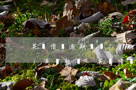 花唄借唄逾期兩個(gè)月能協(xié)商還款嗎-花唄借唄逾期兩個(gè)月能協(xié)商還款嗎怎么還