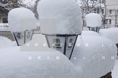 花唄借唄逾期兩個(gè)月還款(花唄借唄逾期三個(gè)月可以先還逾期的部分嗎)
