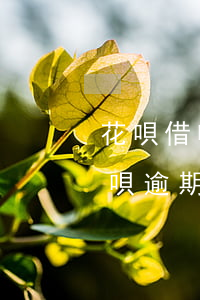 花唄借唄逾期兩個月還了還能用嗎-花唄借唄逾期兩個月還了還能用嗎怎么辦
