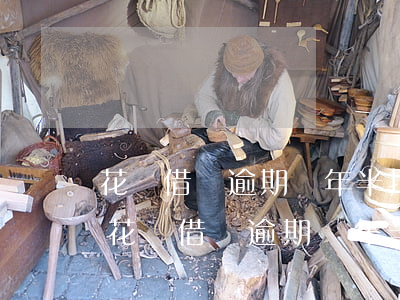 花唄借唄逾期兩年半打電話叫還款怎么辦?-花唄借唄逾期兩年半打電話叫還款怎么辦呢