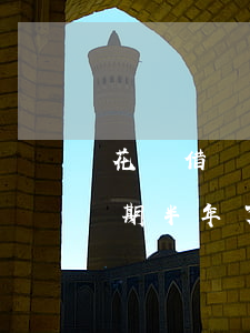 花唄借唄逾期八個(gè)月了(借唄花唄逾期半年了,欠款8萬多會(huì)起訴我嗎)