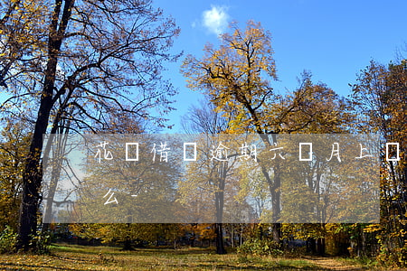 花唄借唄逾期六個月上門調(diào)查么-