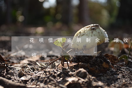 花唄借唄逾期剩余款項收回(花唄剩余款項被收回)