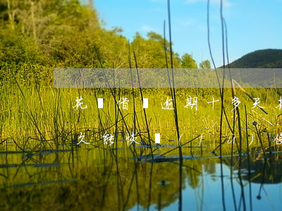 花唄借唄逾期十多天 花唄借唄逾期十幾天,多久能恢復(fù)使用