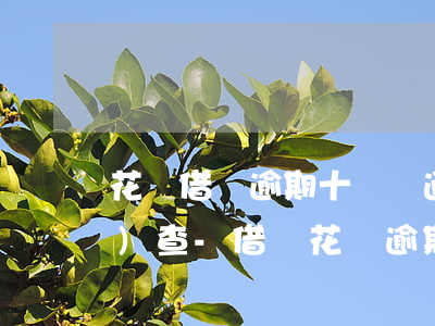 花唄借唄逾期十幾萬通知上門調(diào)查-借唄花唄逾期半年了,接到電話說要上門調(diào)查