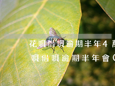 花唄借唄逾期半年4萬(wàn)(支付寶花唄借唄逾期半年會(huì)起訴嗎)