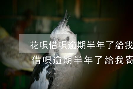 花唄借唄逾期半年了給我寄了律師函-花唄借唄逾期半年了給我寄了律師函怎么辦