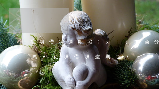 花唄借唄逾期協(xié)商分期可以減免嗎-花唄借唄逾期協(xié)商分期可以減免嗎是真的嗎