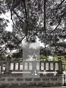 花唄借唄逾期可以分期嗎(支付寶借唄逾期可以再分期不?)