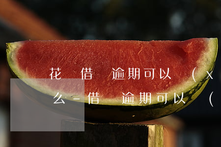 花唄借唄逾期可以協(xié)商分期還款么-借唄逾期可以協(xié)商分期嗎?