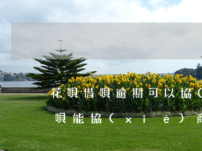 花唄借唄逾期可以協(xié)商嗎(花唄借唄能協(xié)商嗎)