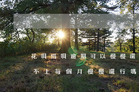 花唄借唄逾期可以慢慢還嗎(花唄借唄逾期還不上每個月慢慢還行嗎)
