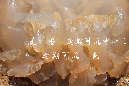花唄借唄逾期可以申請(qǐng)減免(借唄逾期可以減免嗎?)