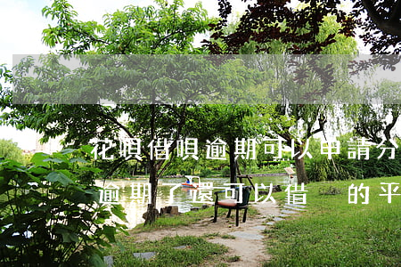 花唄借唄逾期可以申請分期樂嗎-花唄借唄逾期了還可以借別的平臺貸款嗎