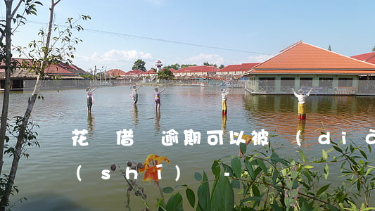 花唄借唄逾期可以被調(diào)查核實(shí)嗎-