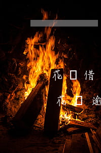 花唄借唄逾期后不肯協(xié)商(支付寶花唄逾期協(xié)商成功)