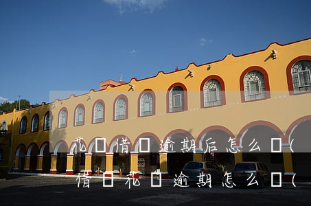 花唄借唄逾期后怎么協(xié)商(支付寶借唄花唄逾期怎么協(xié)商要什么資料)