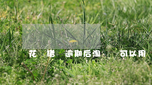 花唄借唄逾期后淘寶還可以用嗎-