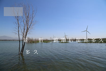 花唄借唄逾期后能拖多久(螞蟻借唄可以逾期多久)