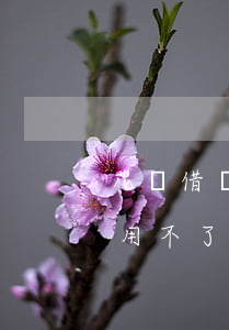 花唄借唄逾期后還可以用嘛(花唄逾期了借唄用不了啦,還完花唄還能用嗎)