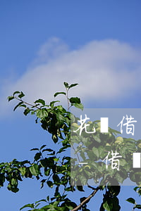 花唄借唄逾期后還清了多久能恢復使用資格-借唄80000逾期2年親身經(jīng)歷
