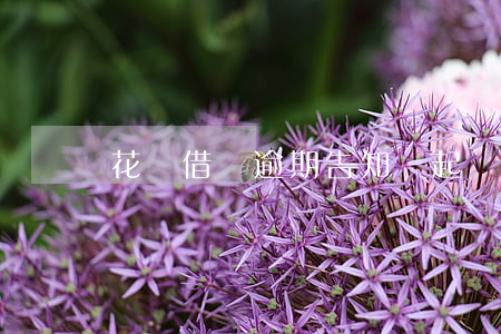 花唄借唄逾期告知將起訴(借唄逾期起訴嗎)