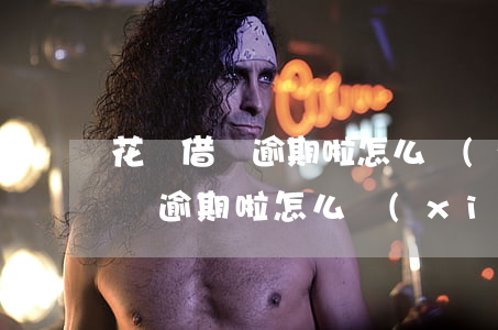 花唄借唄逾期啦怎么協(xié)商(花唄借唄逾期啦怎么協(xié)商)