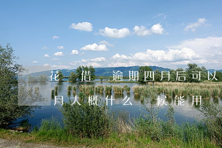 花唄借唄逾期四月后可以嗎(花唄逾期了4個月大概什么時候能用)