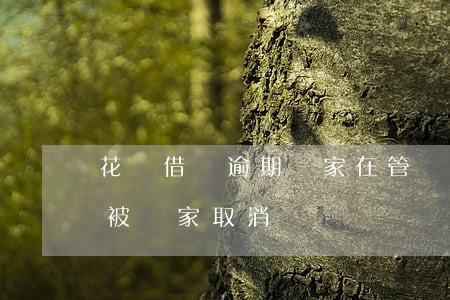 花唄借唄逾期國家在管嗎(借唄會(huì)被國家取消嗎)