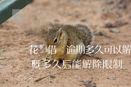花唄借唄逾期多久可以解鎖(花唄逾期還清大概多久后能解除限制)