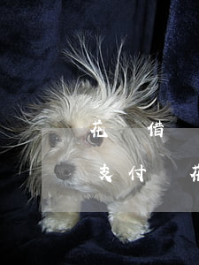 花唄借唄逾期多久會(huì)收到律師函(支付寶花唄借唄逾期多久會(huì)發(fā)律師函)