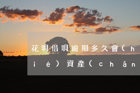 花唄借唄逾期多久會(huì)被凍結(jié)資產(chǎn)-花唄借唄逾期多久會(huì)被凍結(jié)資產(chǎn)呢