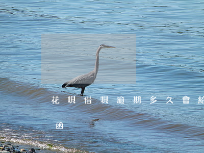 花唄借唄逾期多久會給家里發(fā)律師函
