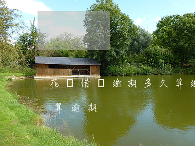 花唄借唄逾期多久算逾期(花唄借唄逾期多久算逾期)