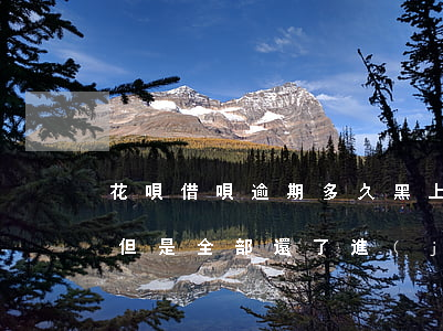 花唄借唄逾期多久黑上名單(借唄以前逾期過,但是全部還了,進(jìn)入黑名單不)