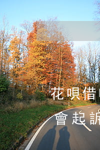 花唄借唄逾期多錢會起訴(花唄借唄逾期多錢會起訴)