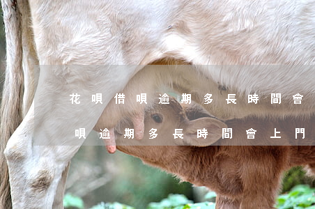 花唄借唄逾期多長時間會上門催款-花唄借唄逾期多長時間會上門催款呢