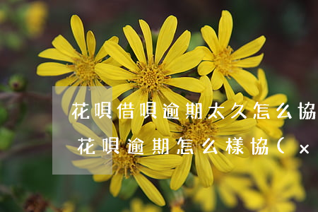花唄借唄逾期太久怎么協(xié)商(借唄花唄逾期怎么樣協(xié)商)