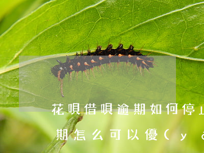 花唄借唄逾期如何停止劃扣(花唄借唄同時逾期,怎么可以優(yōu)先還借唄不被花唄秒扣)