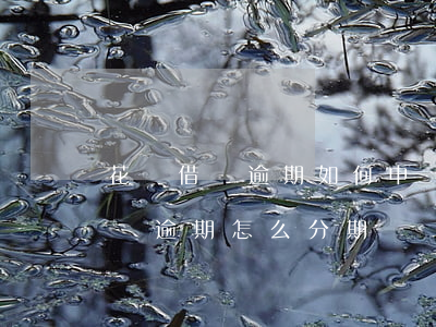 花唄借唄逾期如何申請(qǐng)分期(借唄逾期怎么分期還)