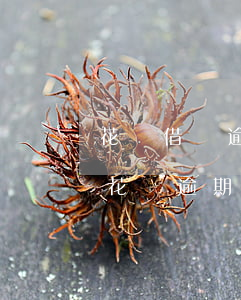 花唄借唄逾期寄法律文書(shū)(借唄跟花唄逾期了今天收到短信說(shuō)要起訴我)