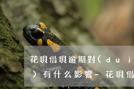 花唄借唄逾期對(duì)以后會(huì)有什么影響?-花唄借唄逾期對(duì)以后會(huì)有什么影響嗎