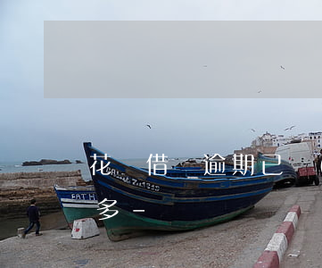 花唄借唄逾期已經(jīng)分期了一千多-