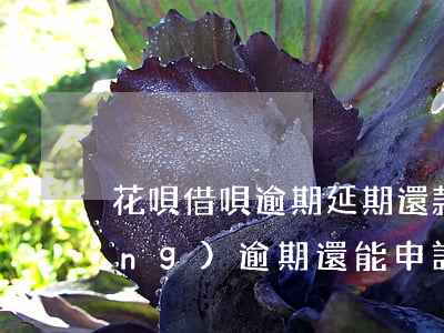 花唄借唄逾期延期還款(花唄借唄已經(jīng)逾期還能申請(qǐng)延期還款嗎)