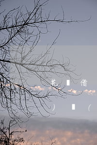 花唄借唄逾期律師函發(fā)過(guò)來(lái)叫去簽收(花唄借唄逾期律師函發(fā)過(guò)來(lái)叫去簽收)