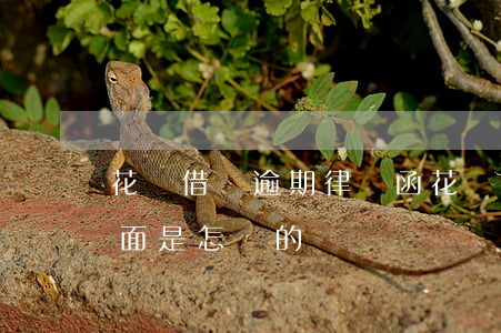 花唄借唄逾期律師函(花唄借唄逾期律師函封面是怎樣的?)