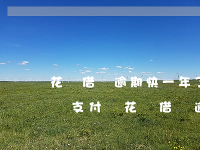 花唄借唄逾期快一年了會(huì)被起訴嗎(支付寶花唄借唄逾期了大半年會(huì)被起訴嗎)